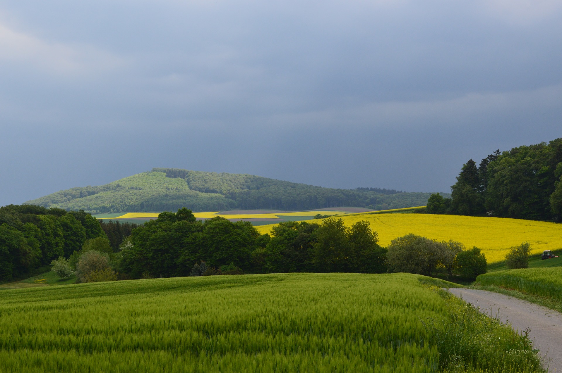 Blick über Getreide- und Rapsfelder auf den bewaldeten Veitskopf in der Eifel unter dunklem Gewitterhimmel