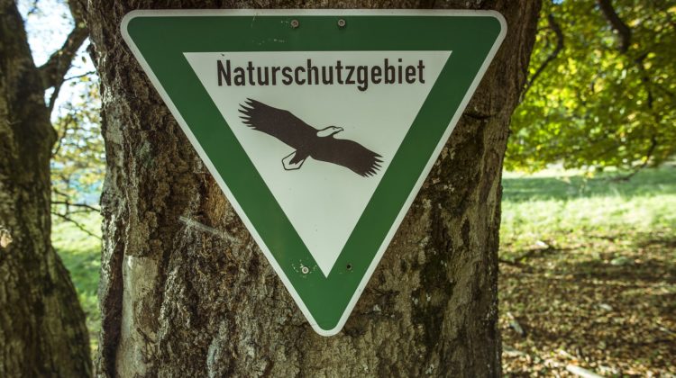 Naturschutzgebiete in der Eifel