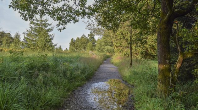 Radtour durch das Hohe Venn MTB