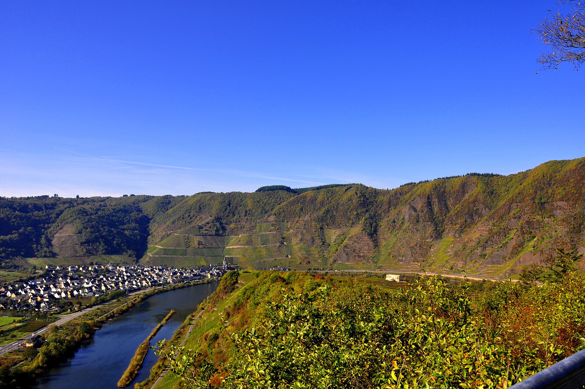Der Calmont an der Mosel