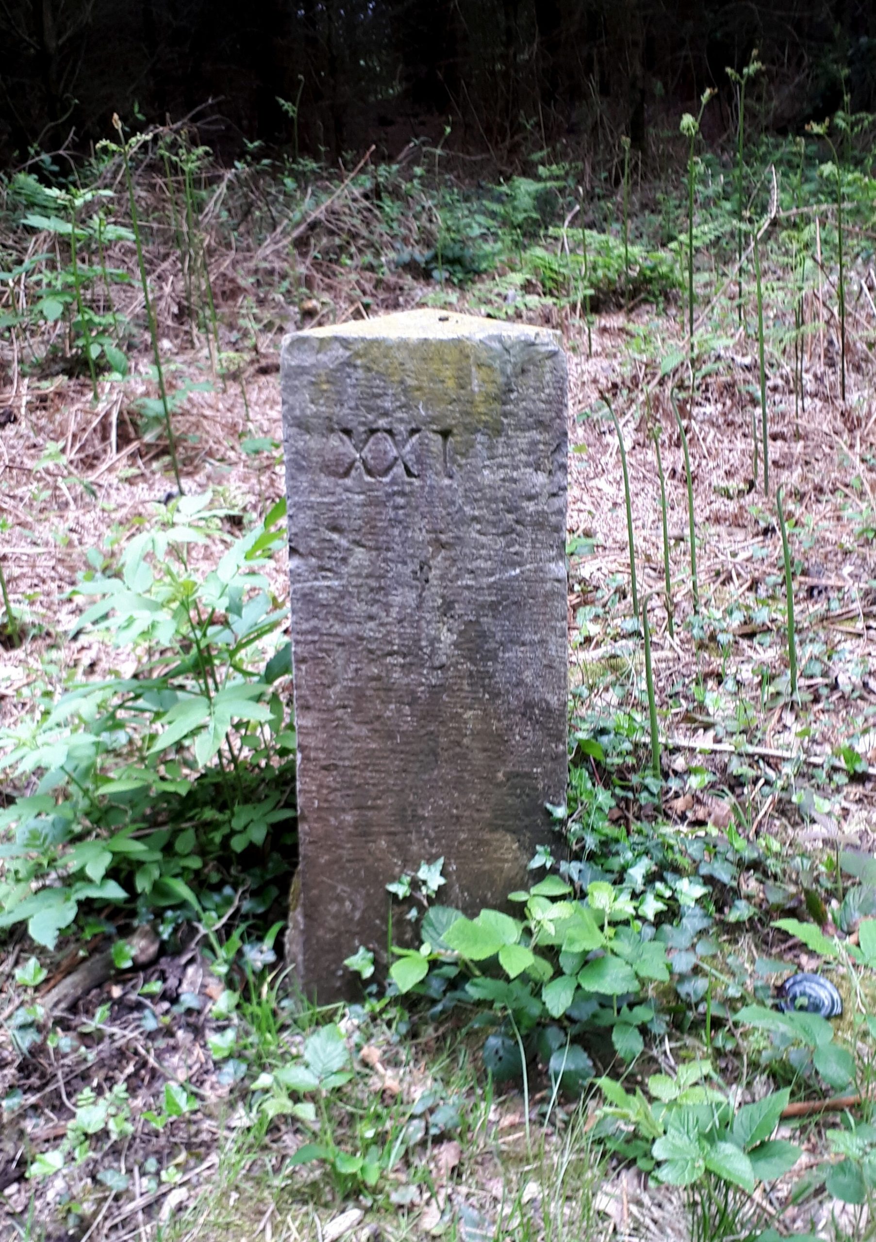 Grenzstein Nr. 21 an der ehemaligen Westgrenze von Neutral-Moresnet