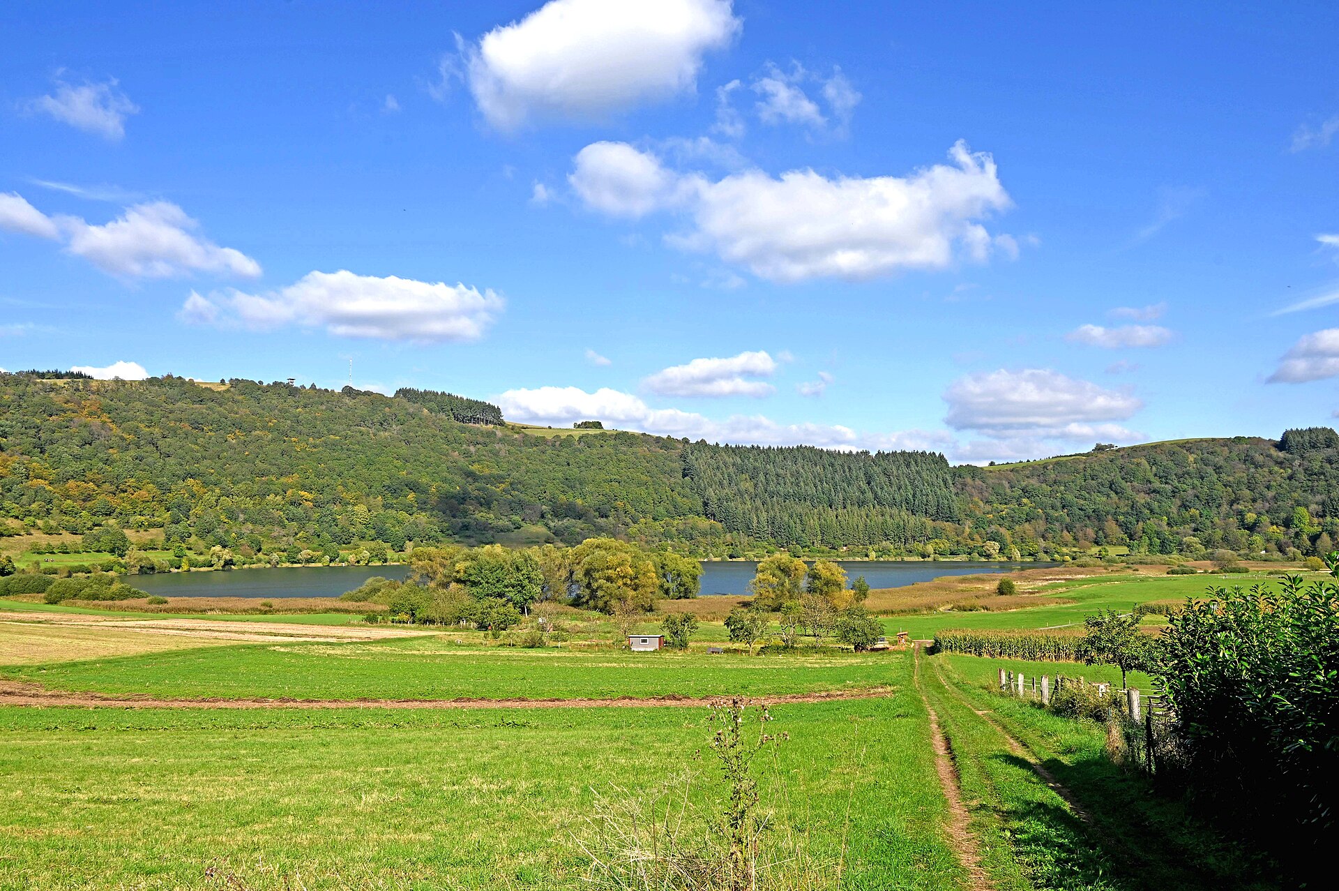 Meerfelder Maar: Der größte Maartrichter der Eifel
