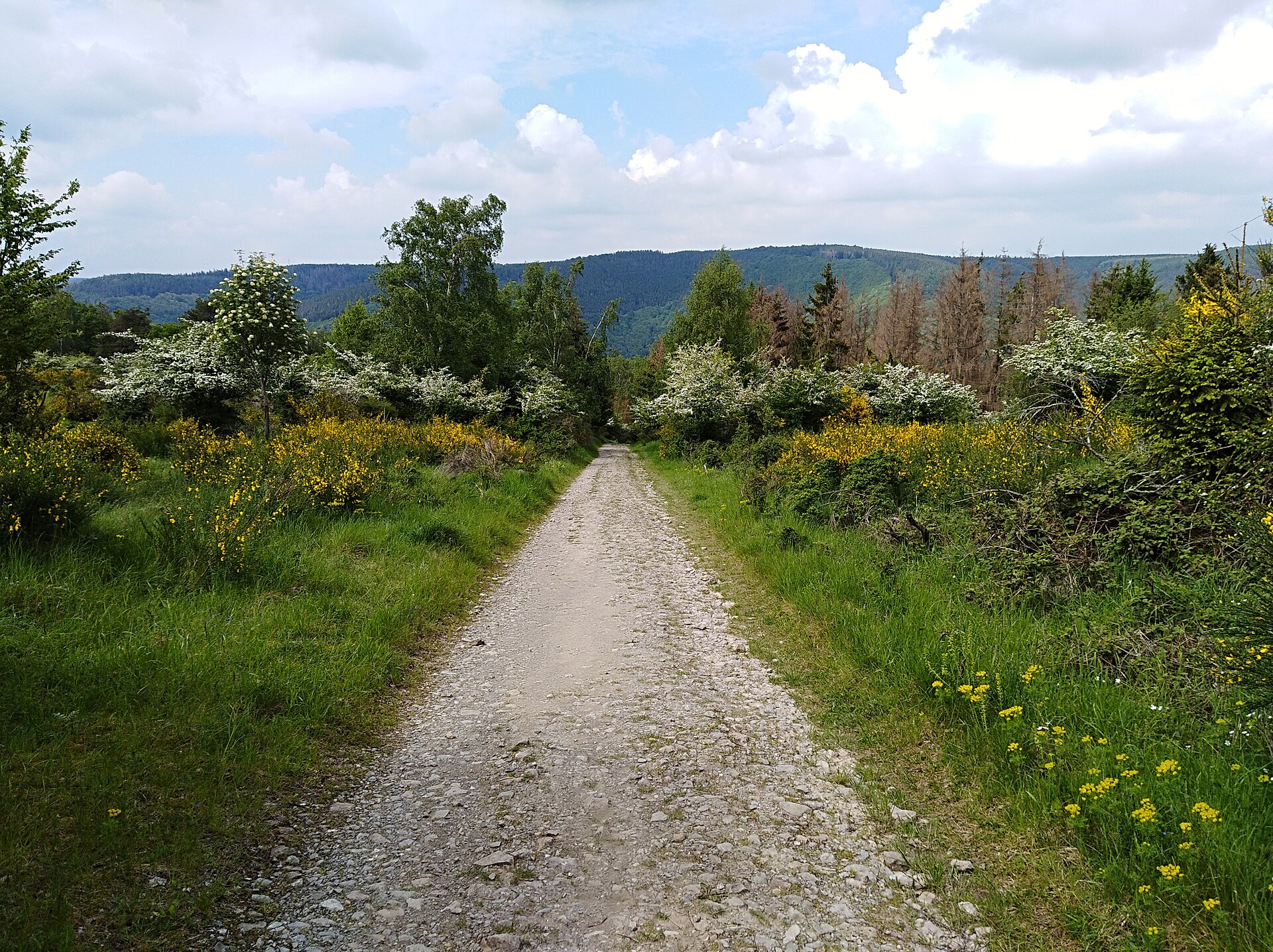 Nationalpark Eifel