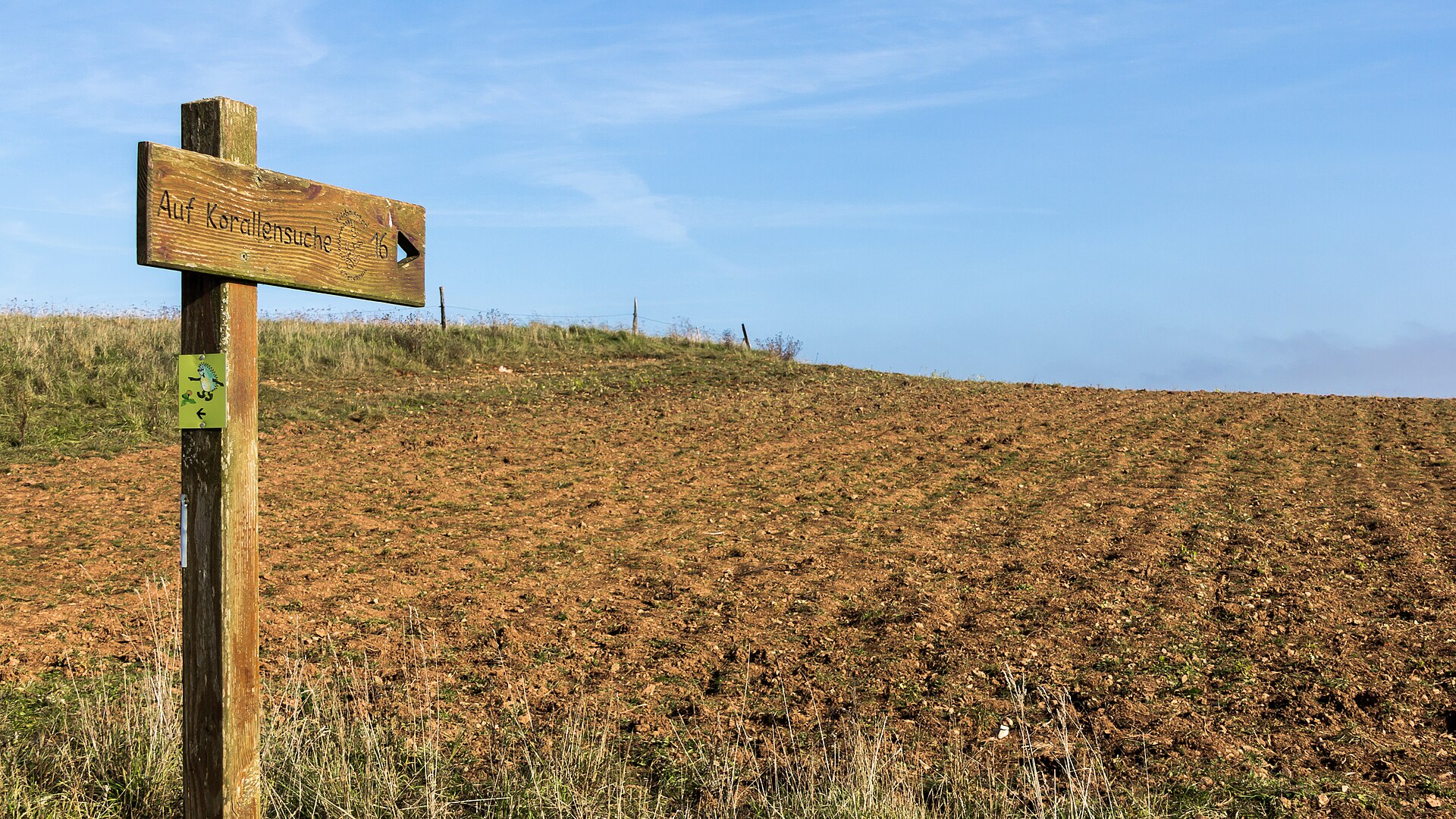 Der Fossilienacker in Nettersheim in der Kalkeifel