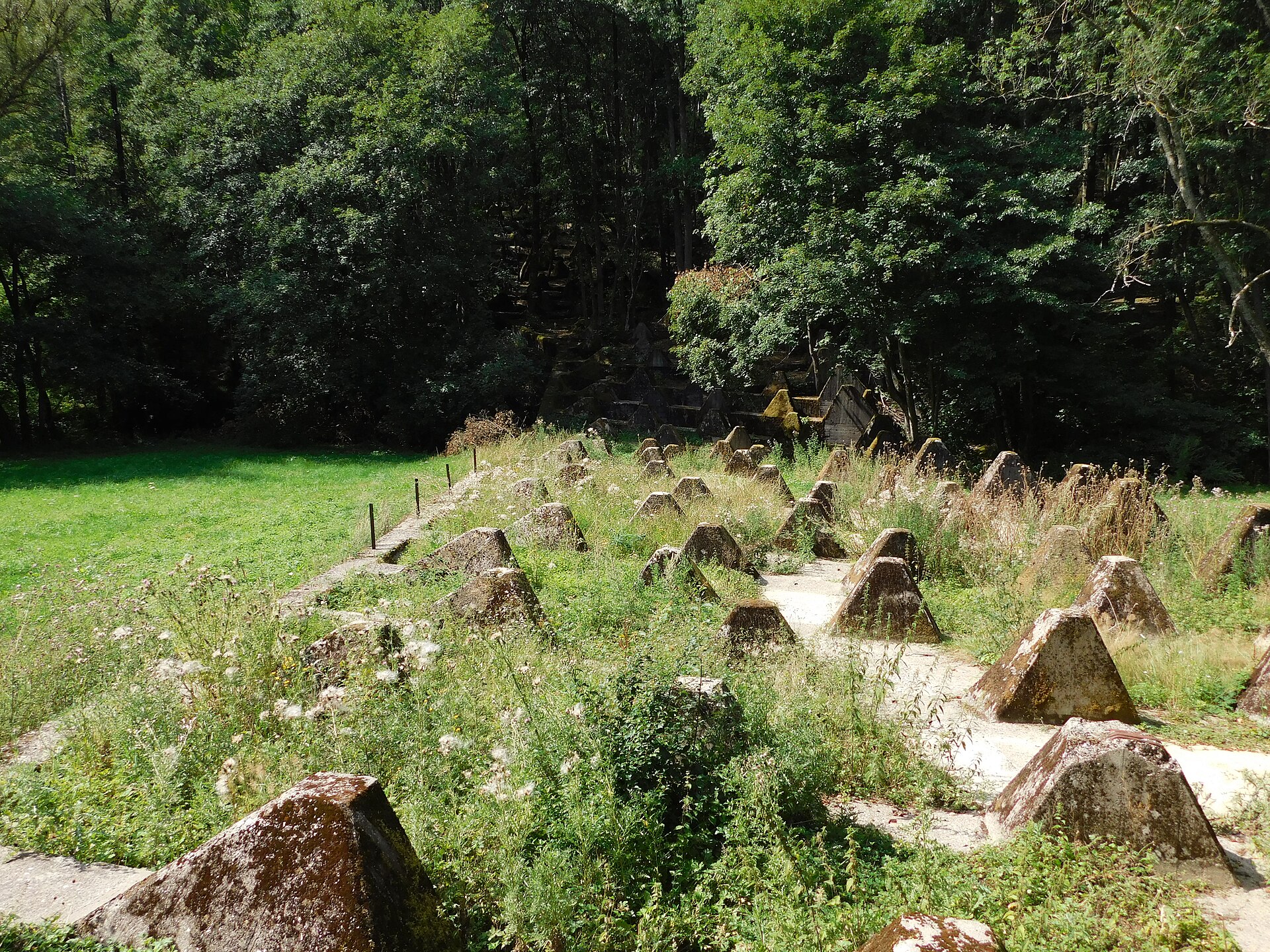 Höckerlinie des Westwalls bei Roetgen