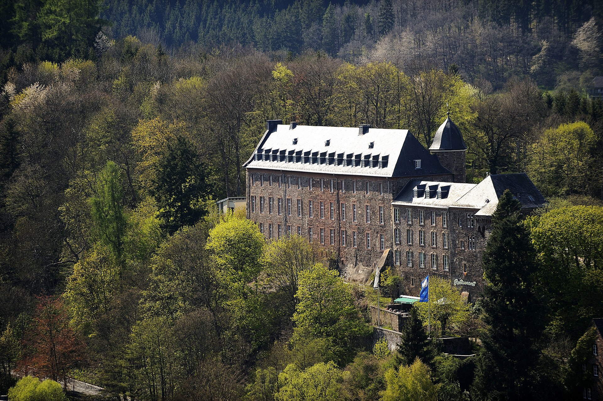 Stadtansicht von Schleiden mit dem Schloss