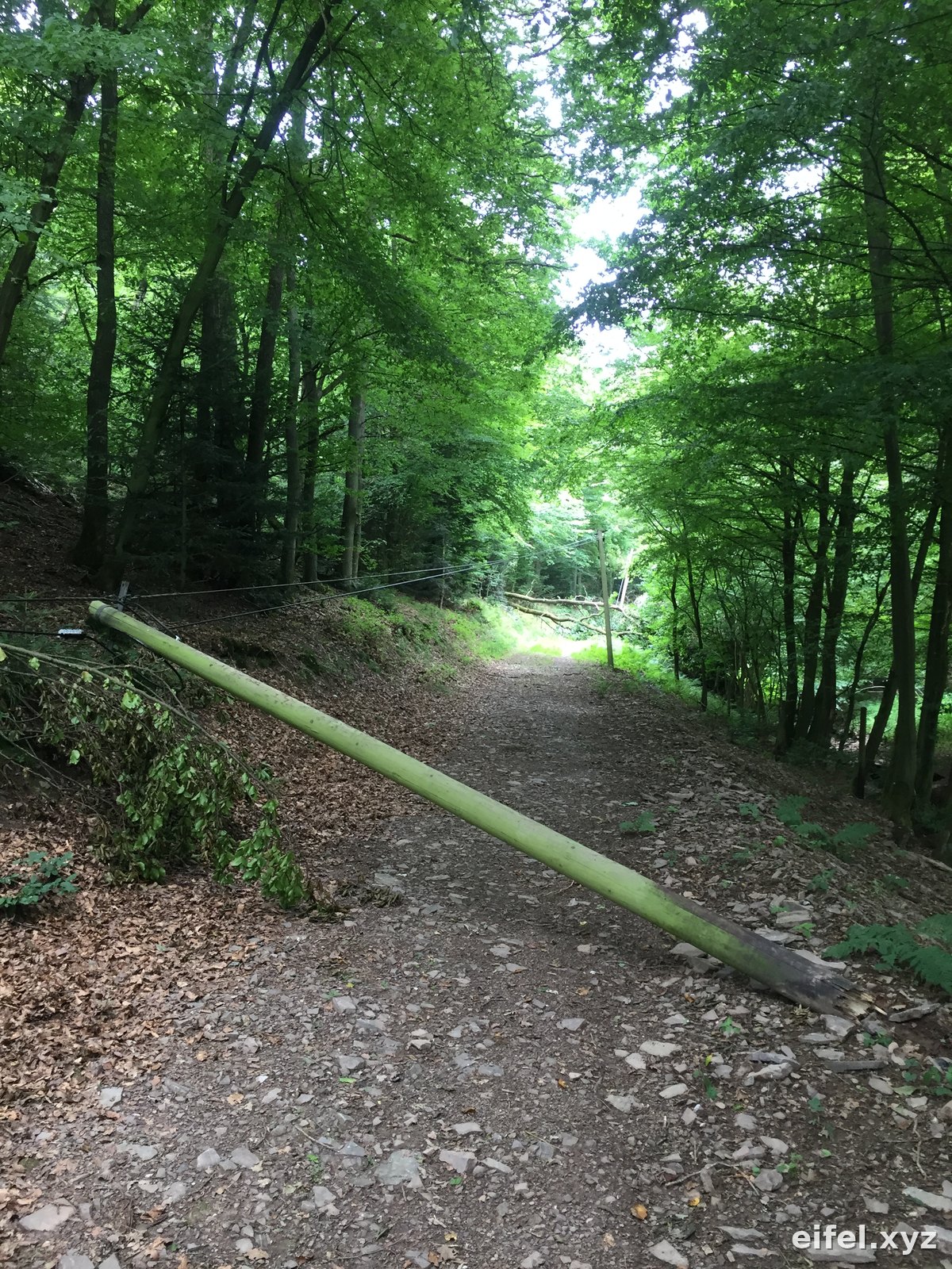 Ein Holzmast einer Freileitung liegt quer am bewaldeten Hang, die Leiterseile laufen von ihm weg