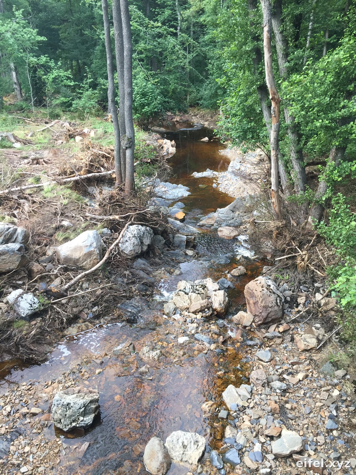 Bachbett des Steinbachs mit hellen Findlingen, Geröll und entwurzelten Bäumen, das Wasser moorbraun