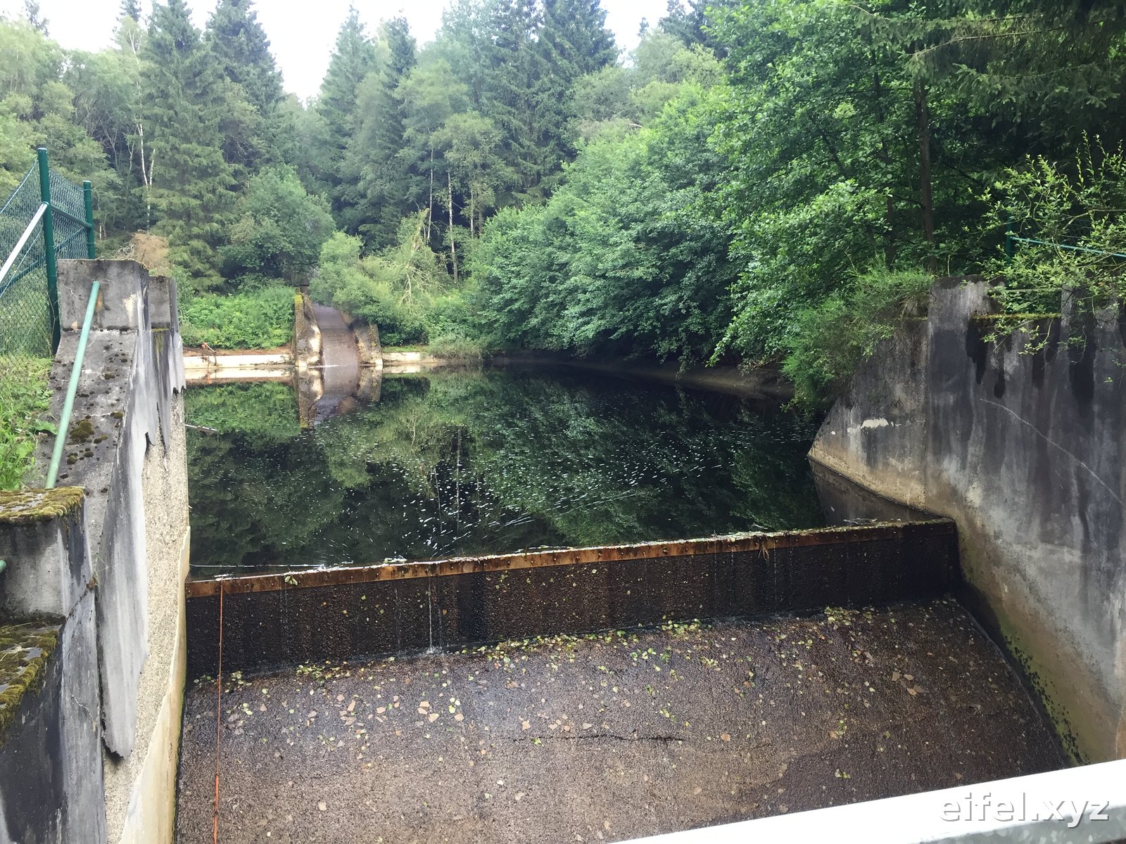 Hochwasserschutz in der Eifel seit 2021: Was gebaut wird — und was es die Natur kostet