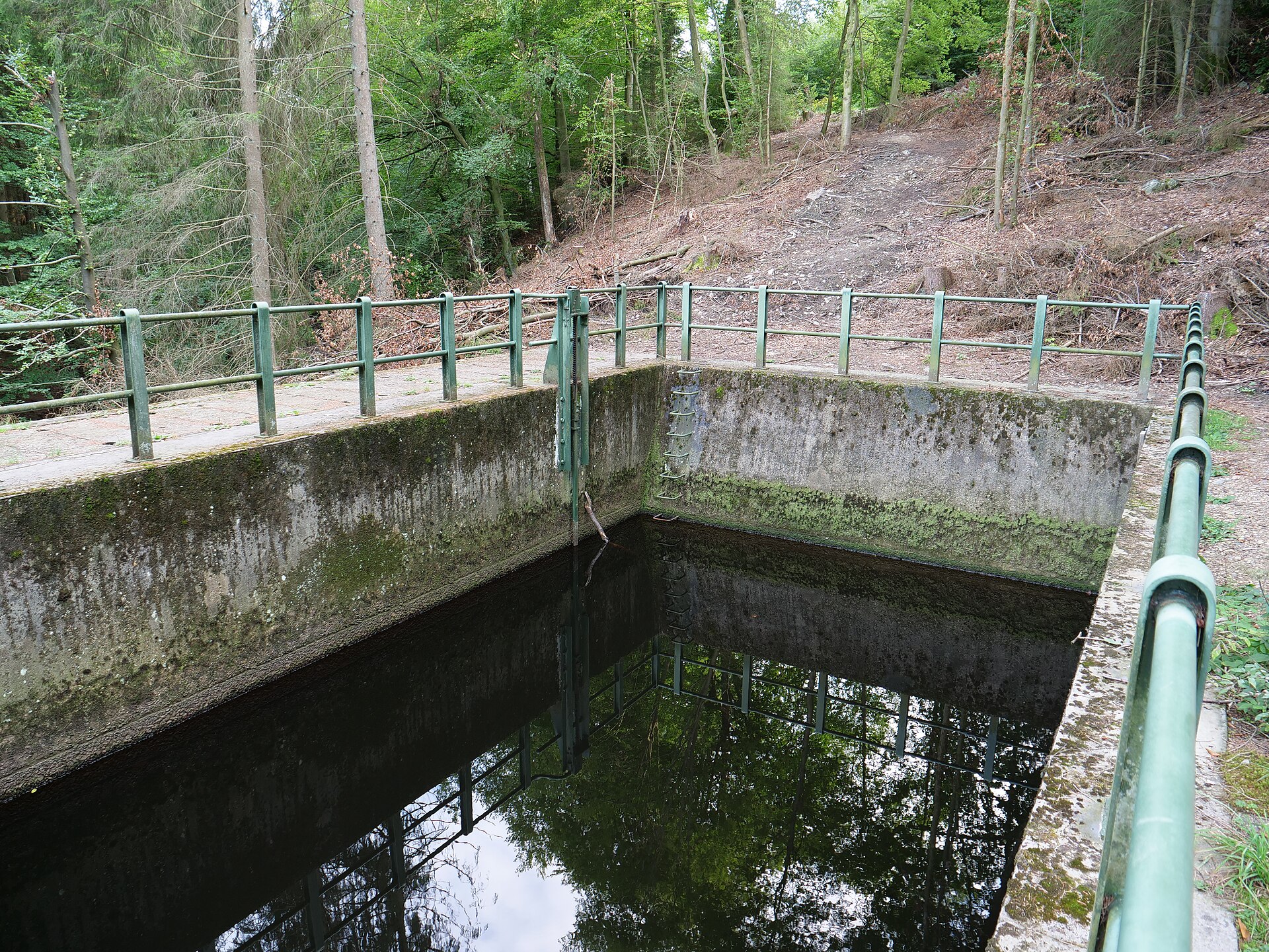Betoniertes Auslaufbecken des Hilltunnels mit grünem Geländer am bewaldeten Hang des Getzbachtals.