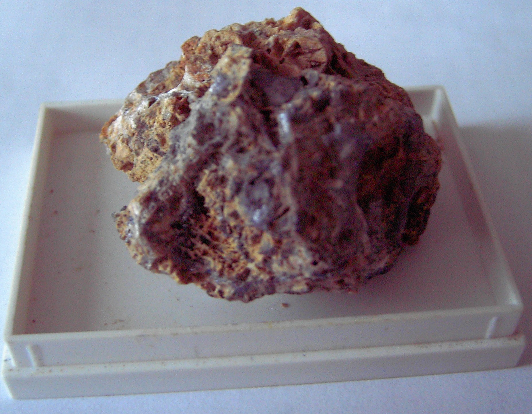 Ein rötlich-braunes Handstück Galmei in devonischem Kalkstein aus Stolberg in einer Sammlerschachtel.