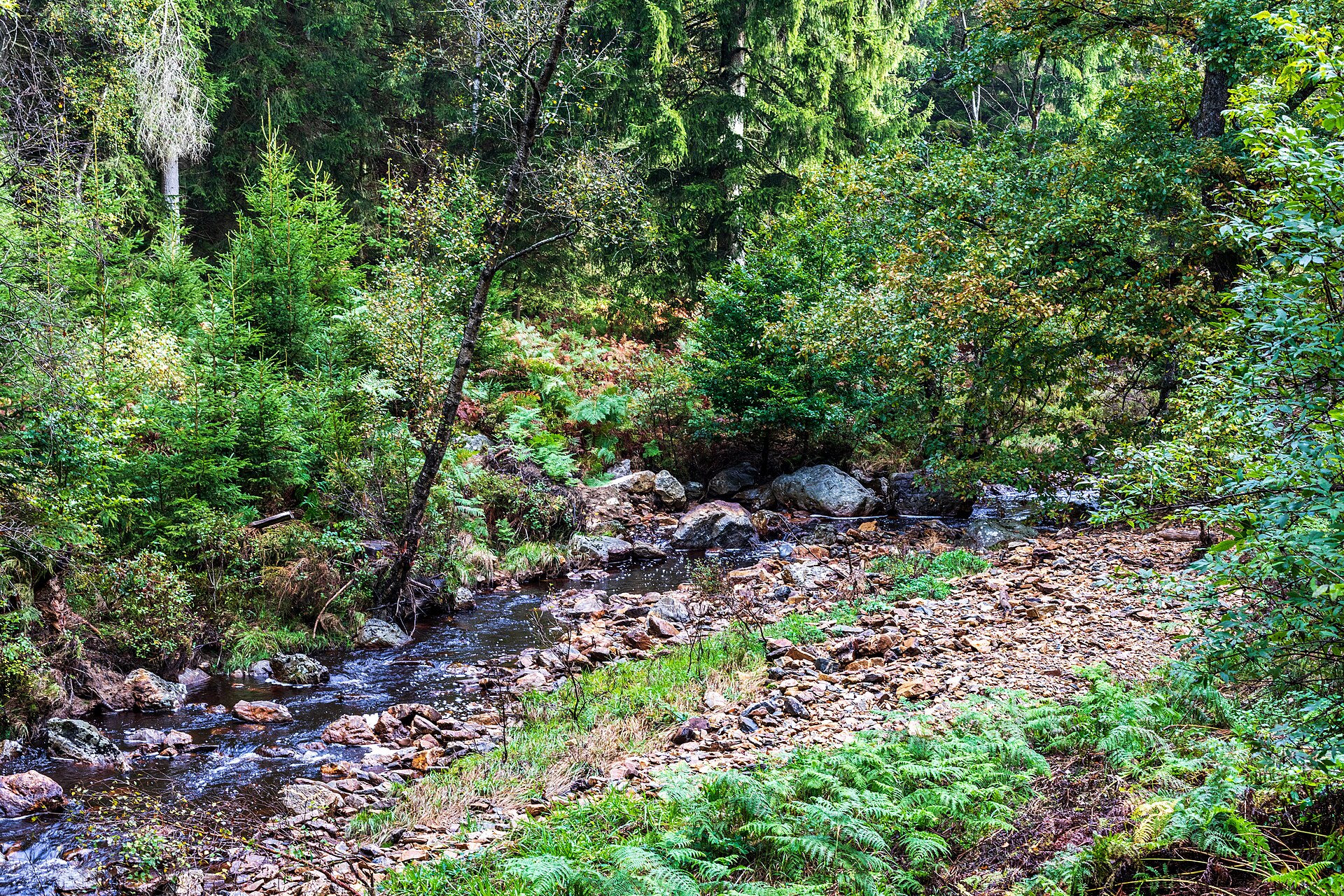 Wanderung ab Haus Ternell: Getzbach, Kutenhart-Venn und Hilltal – mit GPX