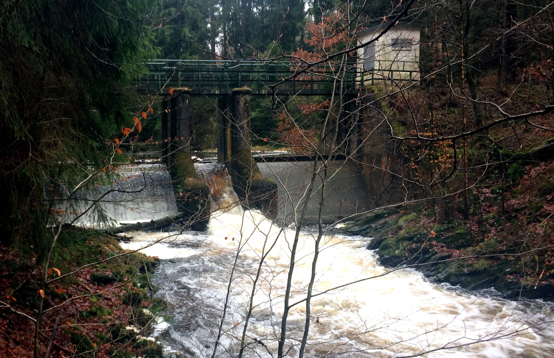 Stauwehr am Getzbach mit Betonpfeilern und Steg darüber, das Wasser schäumt über die Wehrkante in den Wald hinab.