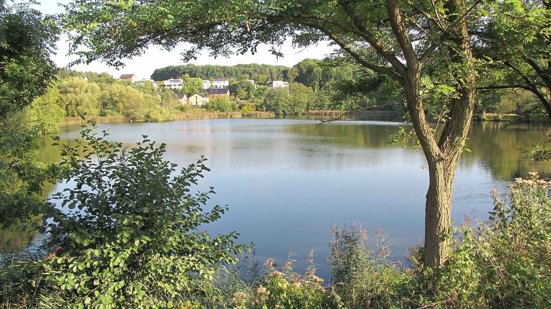 Der Casinoweiher in Kelmis mit Bäumen am Ufer, im Hintergrund Häuser am Hang.