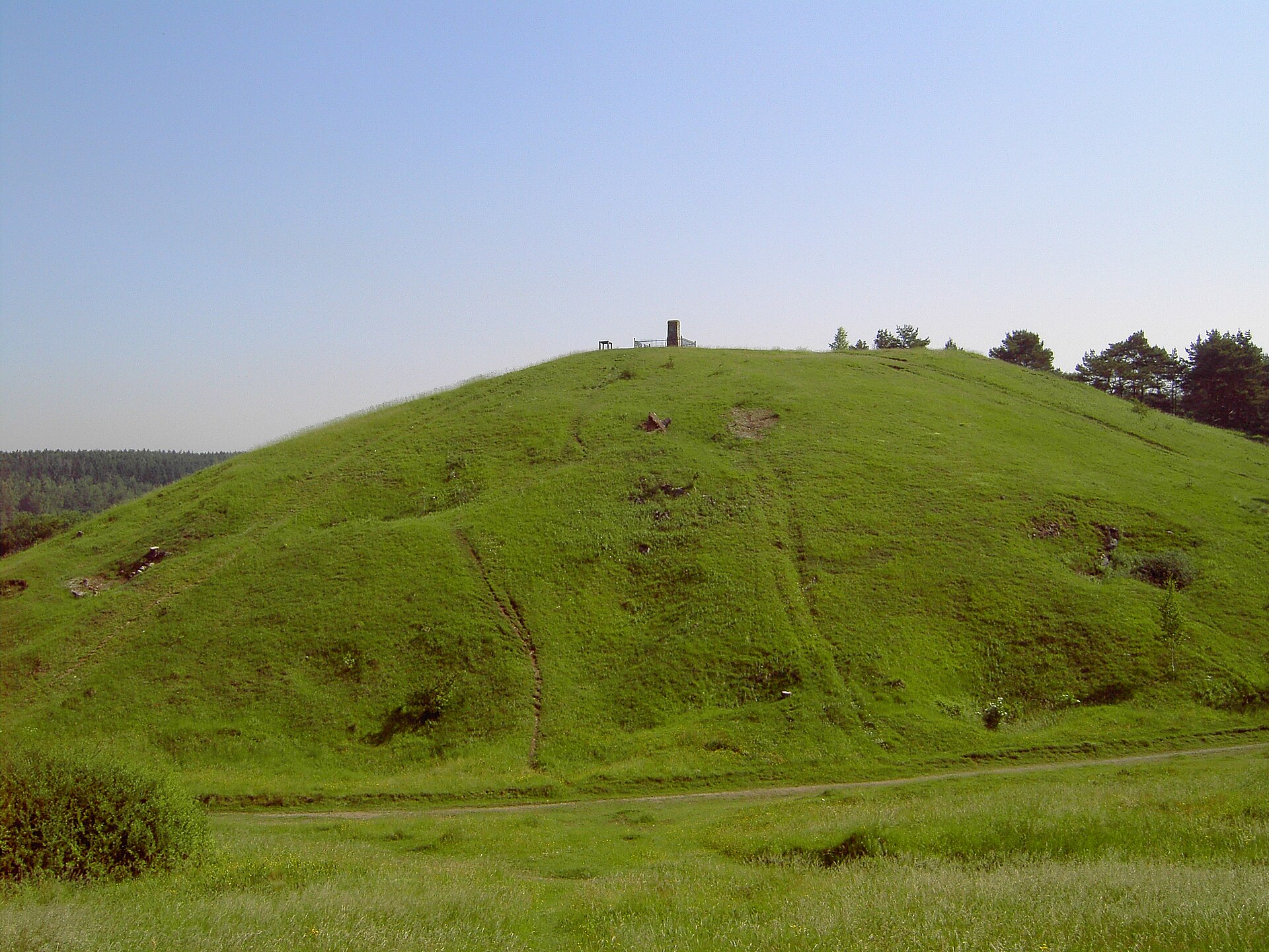 Die grasbewachsene Kuppe des Schlangenbergs bei Stolberg-Breinigerberg im Juni, oben ein Gedenkstein, rechts Kiefern.
