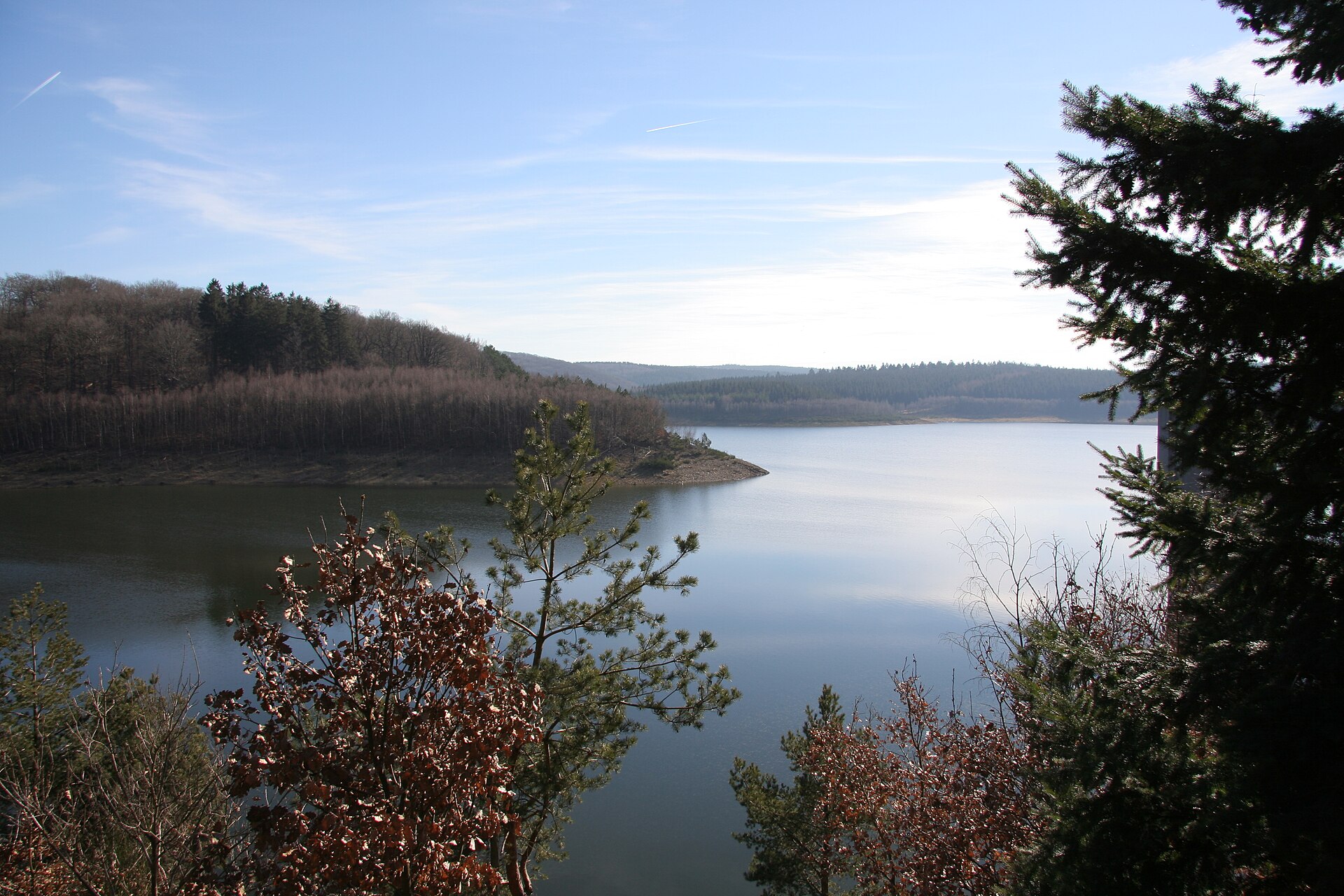 Blick zwischen Bäumen hindurch über den See der Wehebachtalsperre, umgeben von bewaldeten Höhen.