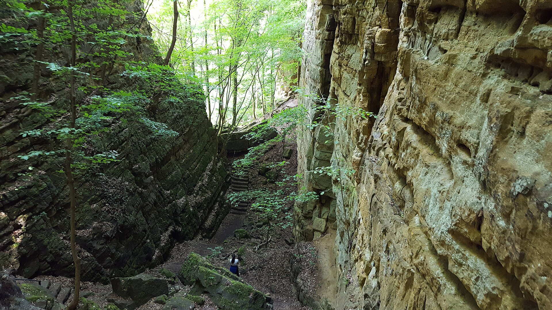 Die Wolfsschlucht bei Echternach: hohe, senkrechte Sandsteinwände mit Bäumen, unten eine Treppe und ein Wanderer als Größenvergleich.